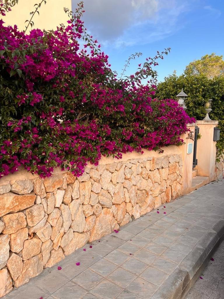 Vakantiehuis Casa Baleares Ts Sl
